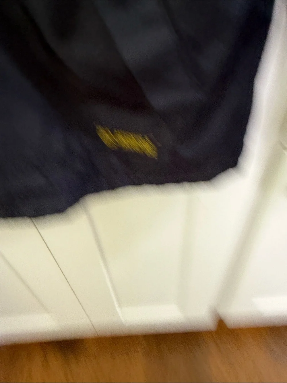 GAP Navy Jacket with Yellow Hood Lining